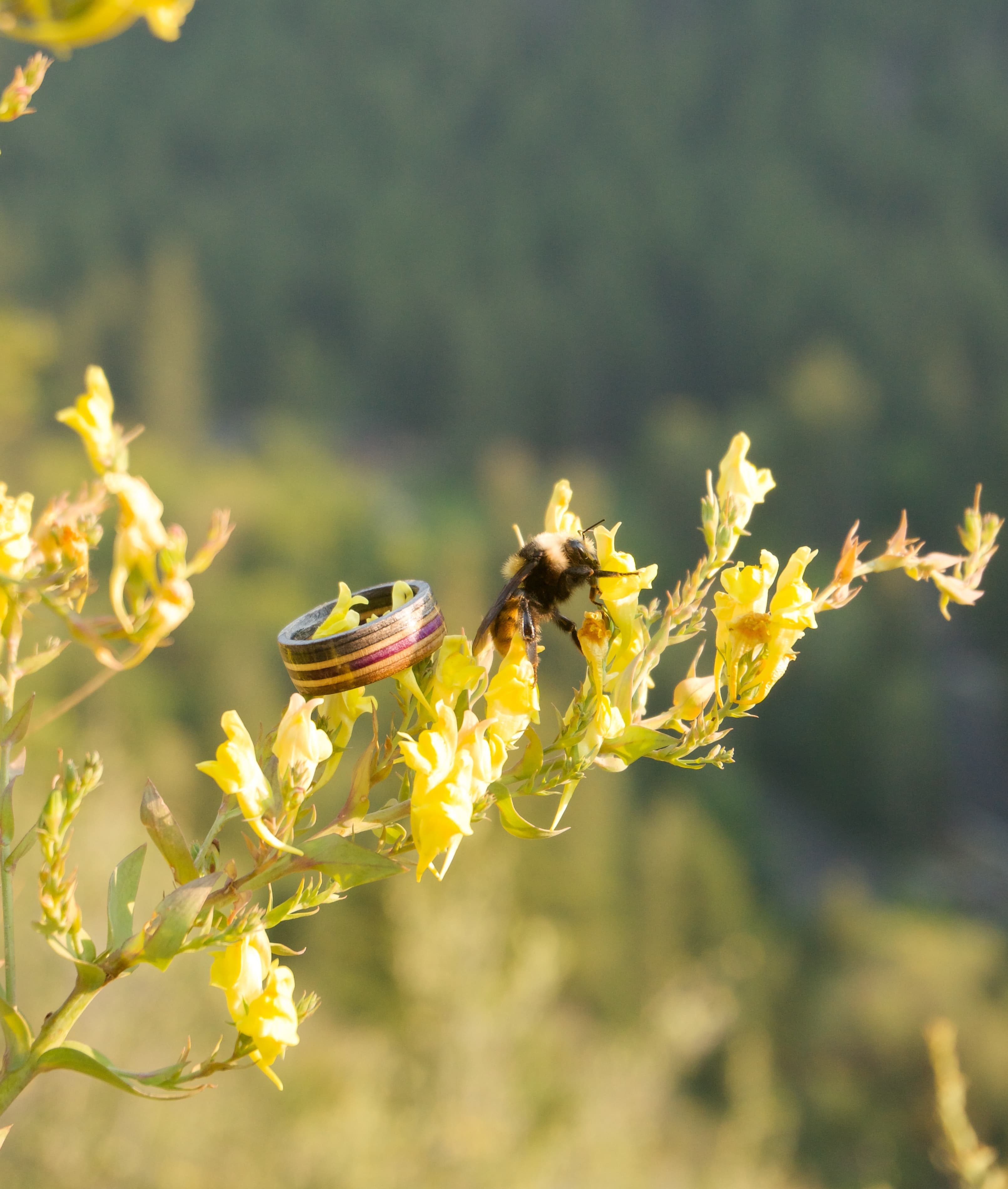 Powerlines | Recycled Skateboard Ring