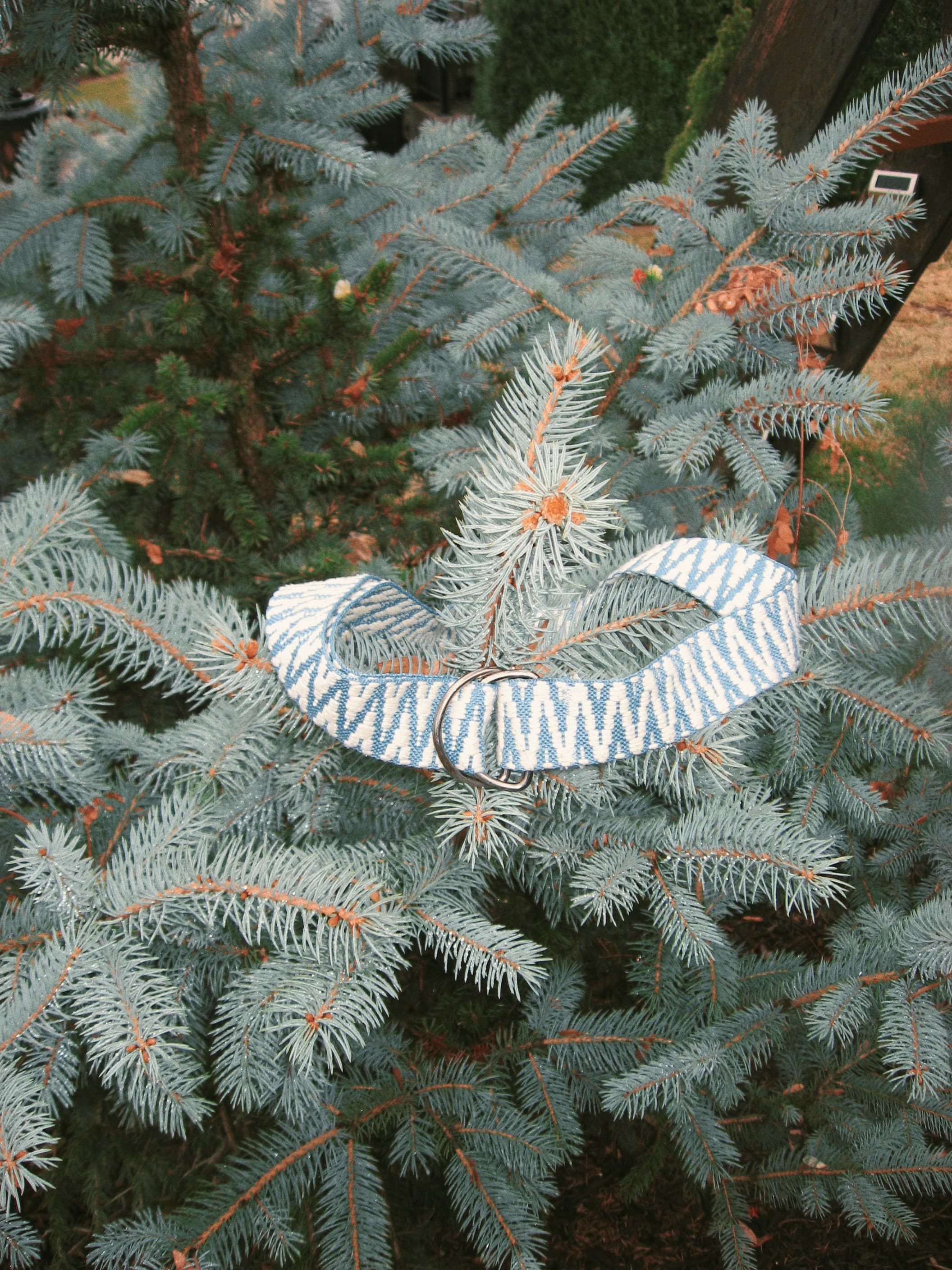 Rebirth Belt alternate