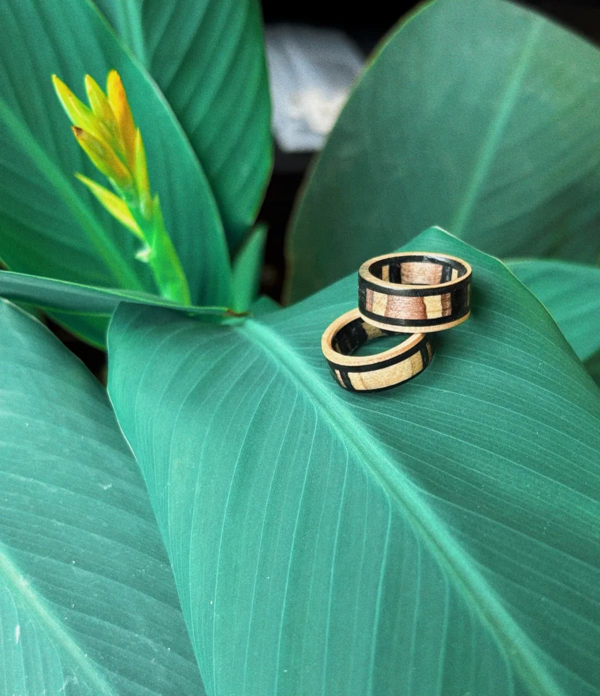 Moztom | Recycled Skateboard Ring