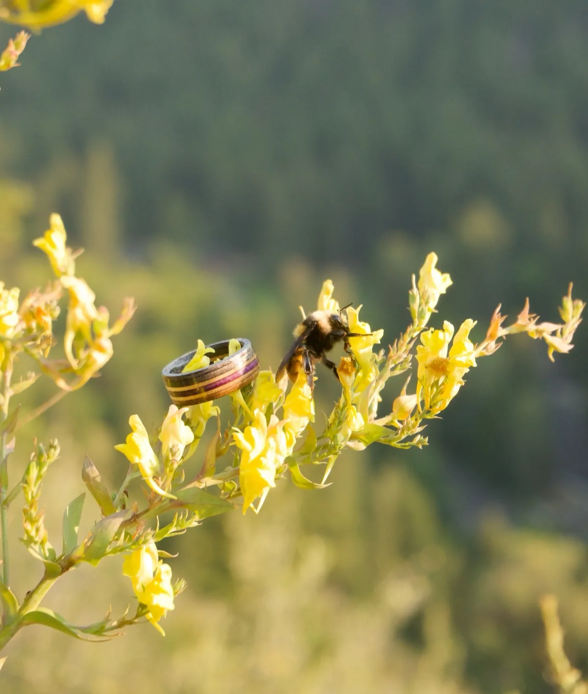 Powerlines | Recycled Skateboard Ring