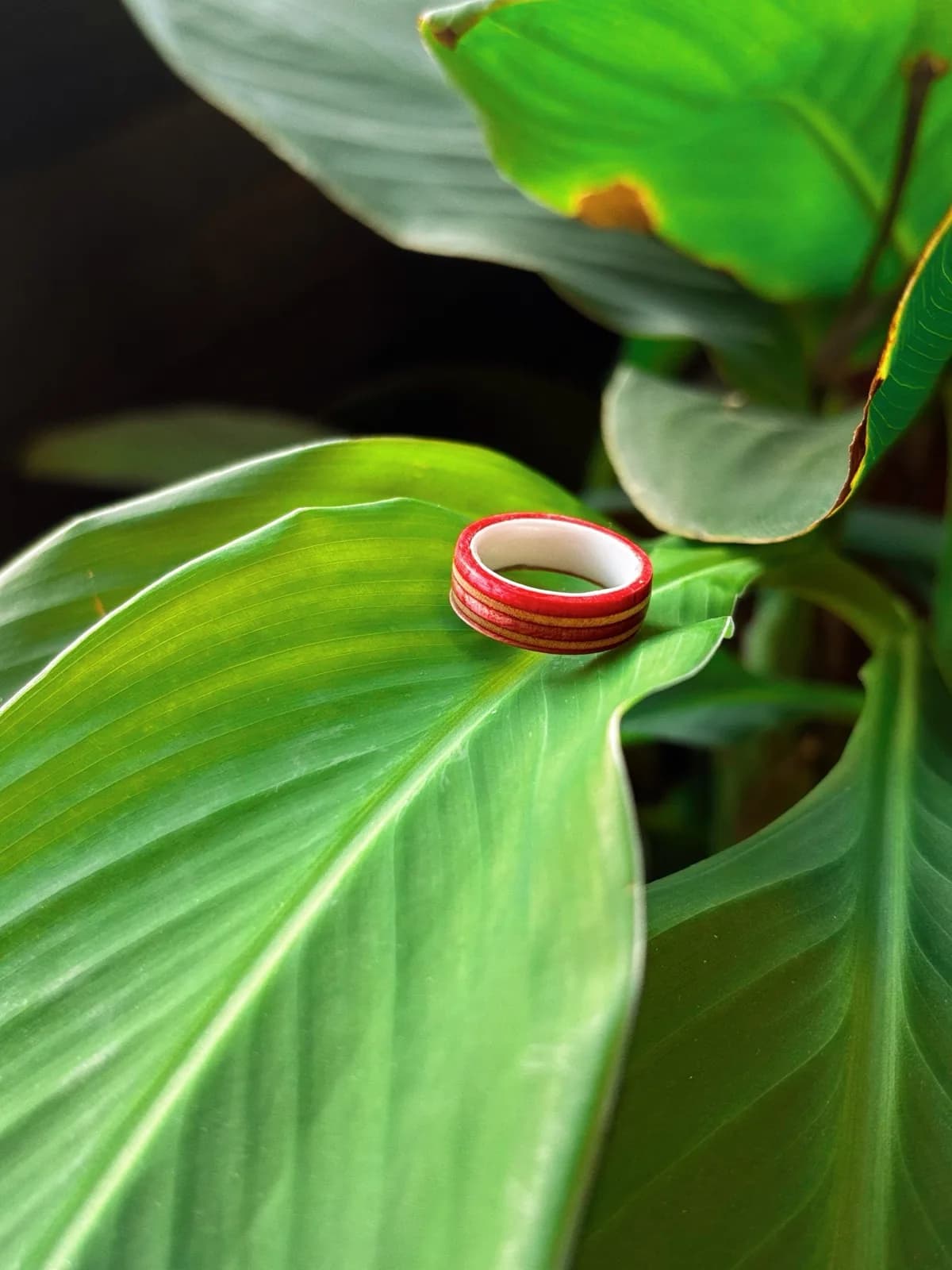 The Ceramic Rose | Men's Wedding Band