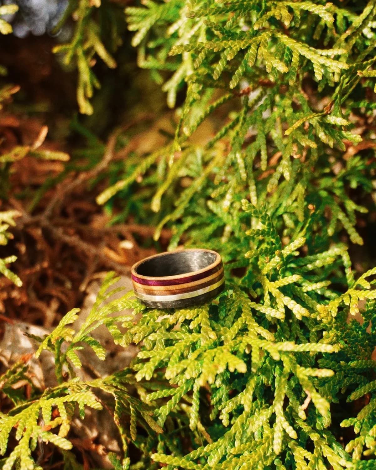 The Lunar Ring | Men's Wedding Band